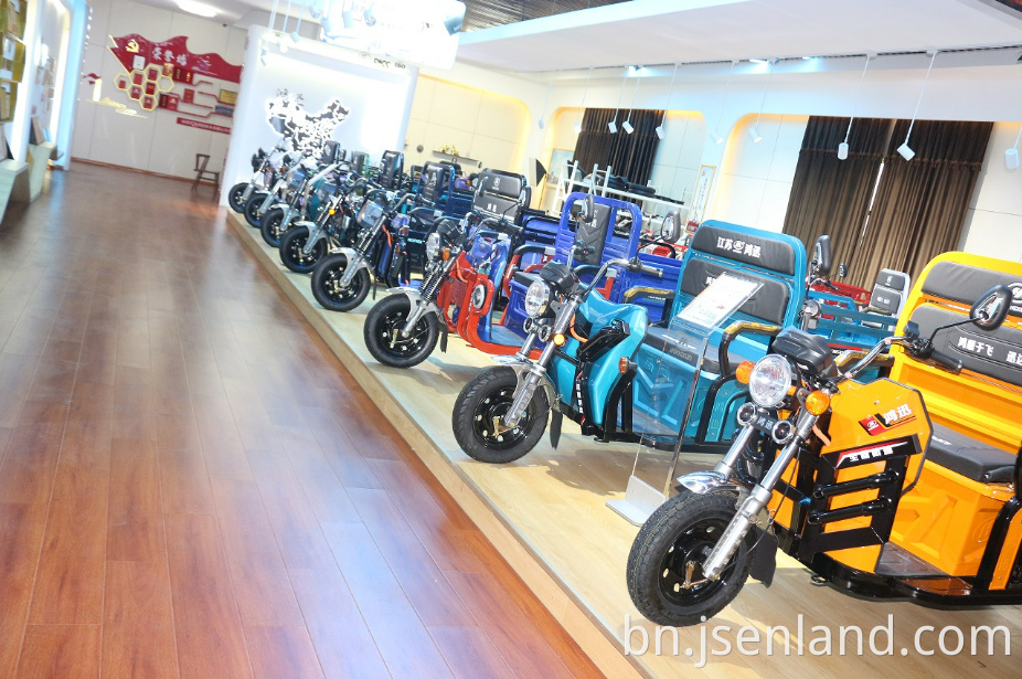 electric tricycle cargo bike